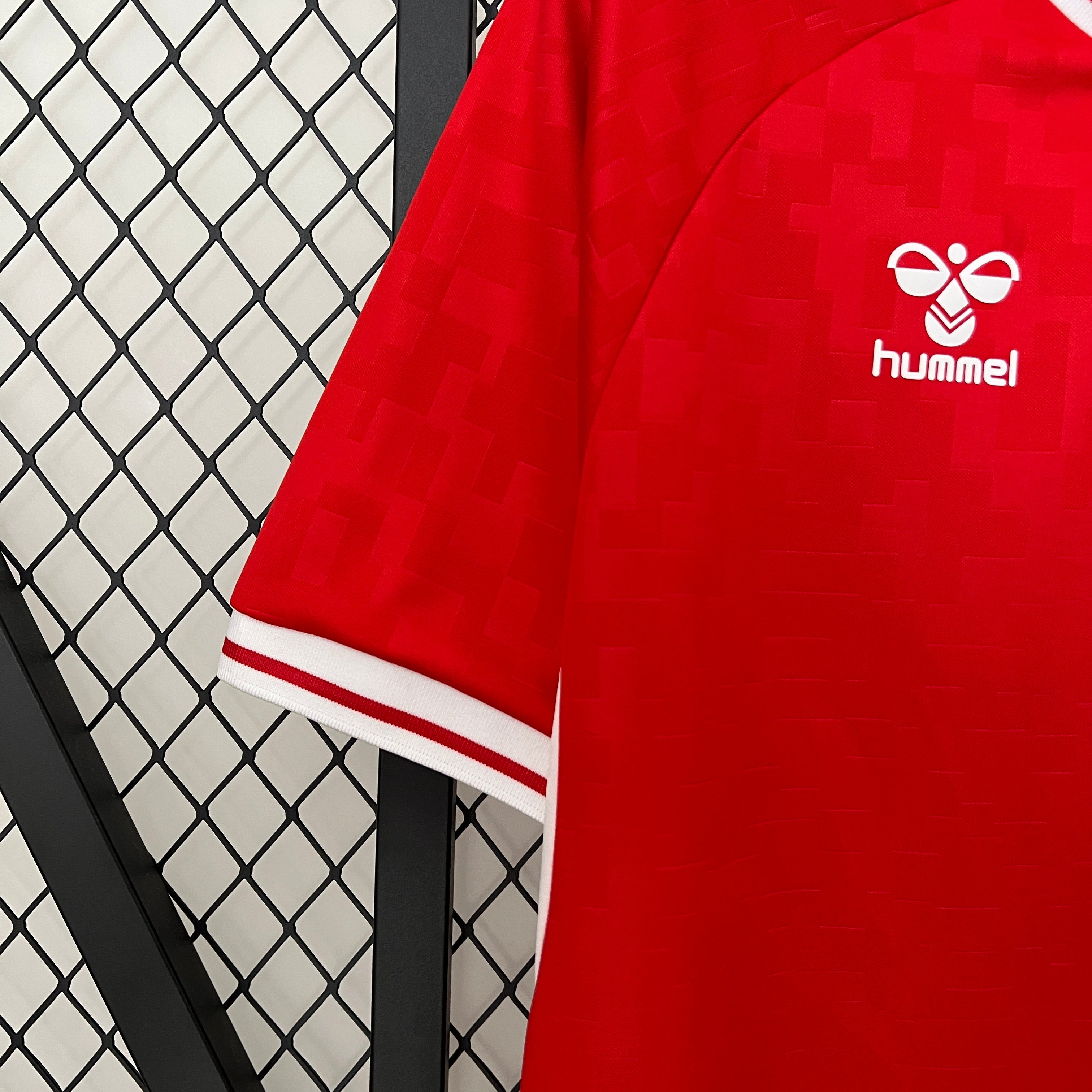 Dänemark 2024 Heimtrikot