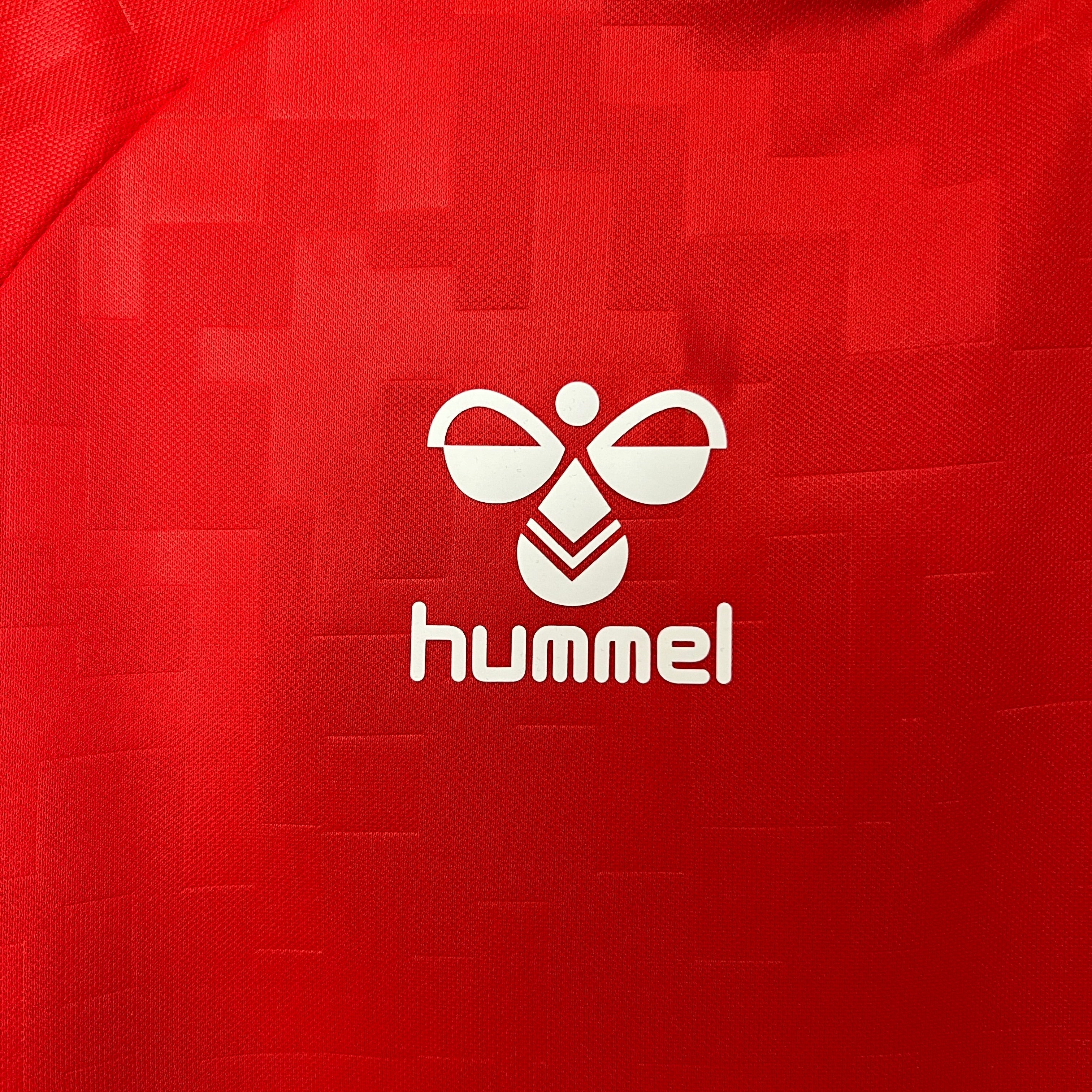 Dänemark 2024 Heimtrikot