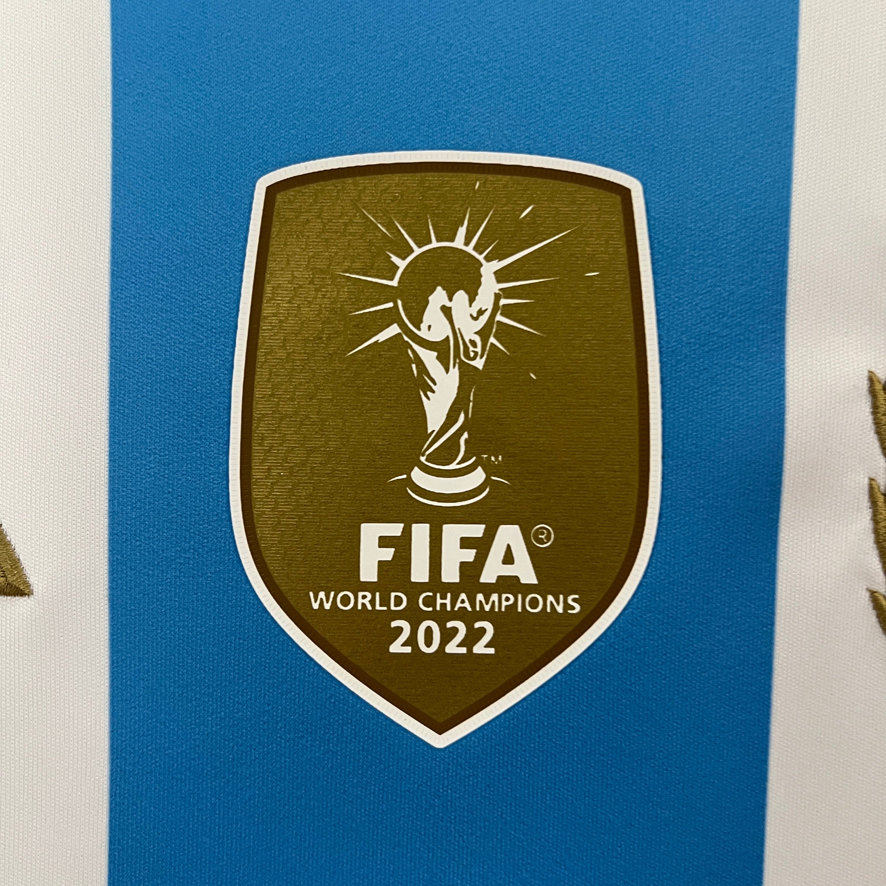 Argentinien 2024 Heimtrikot